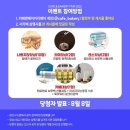 카페로베 - 창원시 진해구 여좌남로 80-1 | 카페로베