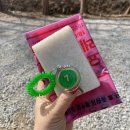 옥당걸숲속 | [20번째 캠핑] 경북 신생캠핑장, 아이들과 가기 좋은 '옥당걸숲속캠핑장' B1사이트 후기