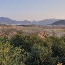 낙안빌딩 이미지