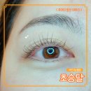 [부천시청 속눈썹펌] 초승달 : 인위적인 느낌 없이 트랜디한 부천포인트연장 후기