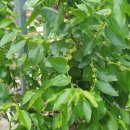 한일환경(주) 이미지