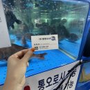 농수산물도매시장_동 | 수원 횟집 "희망수산 수원농수산물도매시장점" 가성비 좋은 회포장 이용후기 + 주차