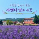 라벤다공인중개사사무소 네이버블로그