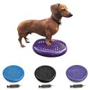 미미애견 이미지