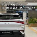 백씨미디어 | BYD 전기차 씨라이언7 시승후기, 내 아이와 함께 타도 괜찮을까?