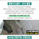 박희홍의원