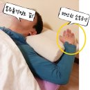 코코시아 | 메모리폼베개, 차코시아 완벽한 베개 정말 최고네여~