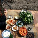솔가지