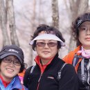 자매여인숙 이미지