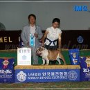 마군