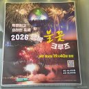 월미도유람선 뉴코스모스크루즈 불꽃크루즈 후기