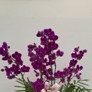 서각전시 이미지