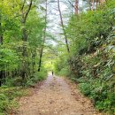 주천면사무소 이미지