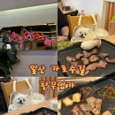 한우명가 - 완도군 | 애견동반 가능 일산 가로수길 삼겹살 한우명가 방문 후기