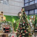 성북5 | [서울 성북구 상월곡동] 성북정보도서관 디지털자료실 이용 후기 💻 &amp; 5층 열람실, 미술관 멸종 소식 😥