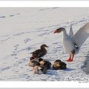 어쭈구리 이미지