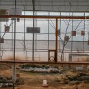 파주 동물먹이주기체험 | 나눔농장