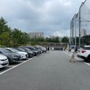 보라동리틀야구장 네이버블로그