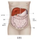 신진광택 이미지