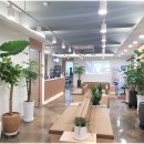 코뿔소마취통증의학과의원 이미지