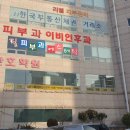 뷰티풀피티 이미지