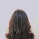 진혜어 - 강서구 등촌로55길 53 | 진혜어