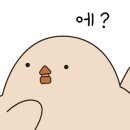 에소코핏 이미지
