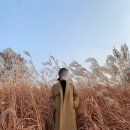 2001아울렛미샤