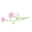 현자네 맛집 이미지