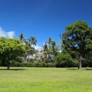 푸메하나 이미지