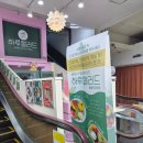 (주)하이테크프라자 자판기 | 방이동샐러드 하루샐러드 올림픽공원점｜샐러드·샌드위치 포장 후기, 칼로리까지