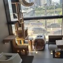 냥코캐슬 이미지