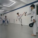 석사하나태권도 이미지