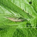 이경농장 이미지