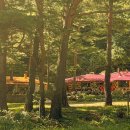 은행나무펜션 이미지