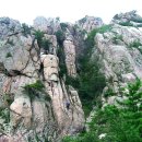 그루터기공원 이미지