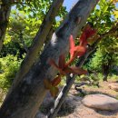 태림농장 이미지