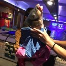 대박실내낚시터 이미지