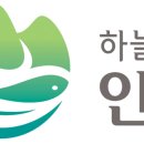 세계로가설 이미지
