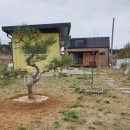 일상의 기록 어반스케치 이미지