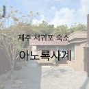 아노록사계 이미지