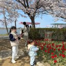 GS25경포호수점 이미지