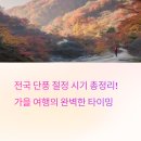 88약수터 | 전국 단풍 절정 시기 총정리! 설악산·내장산·지리산 등 인기 명소 5곳 비교
