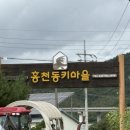홍천동키마을 | 홍천 동키마을 아이랑 동물체험+ 메밀밭 포토스팟 후기