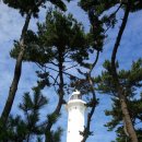 신비공원 이미지