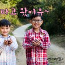 아곡농장 | 경북 칠곡 푸른농장에서 알밤줍기체험하고 왔어유