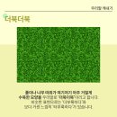 다복다복 이미지