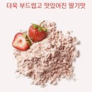 디에스푸드 네이버블로그