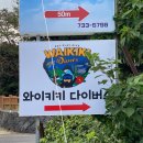 와이키키다이버스 이미지