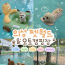 펫월드 | 의성 펫월드 &amp; 의성 펫월드 오토캠핑장 방문후기ㅣ대구근교 강아지랑 가볼만한 곳 ㅣ강아지 수영장과...